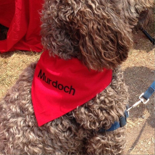 Picture of Custom Embroidered Pet Bandana - Personalized Bib for Dog and Cat with Embroidered Name