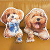 Picture of Custom 3D Dog Pillow - Personalize With Your Lovely Pet