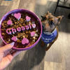 Picture of Custom Slow Feeder Pet Bowls - Personalized PLA 3D Printed Dog/Cat Bowl - Best Gift for Pet Person