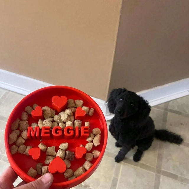 Picture of Custom Slow Feeder Pet Bowls - Personalized PLA 3D Printed Dog/Cat Bowl - Best Gift for Pet Person