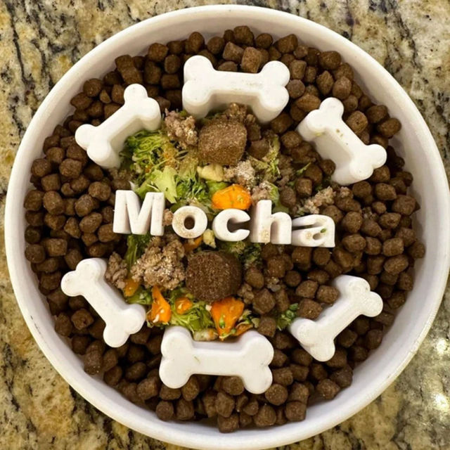 Picture of Custom Slow Feeder Pet Bowls - Personalized PLA 3D Printed Dog/Cat Bowl - Best Gift for Pet Person