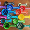 Picture of Custom Pet Food Scoop - Personalized PLA 3D Printed Dog/Cat Food Scoop with Name  - Best Gift for Pet Person