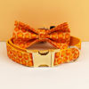 Picture of Personalized Pet Name Collar Set - Halloween Theme Series - Engraved Pet Name Tag Metal Buckle