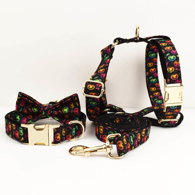 Picture of Personalized Pet Name Collar Set - Halloween Theme Series - Engraved Pet Name Tag Metal Buckle