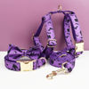 Picture of Personalized Pet Name Collar Set - Halloween Theme Series - Engraved Pet Name Tag Metal Buckle