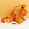 Picture of Personalized Pet Name Collar Set - Halloween Theme Series - Engraved Pet Name Tag Metal Buckle