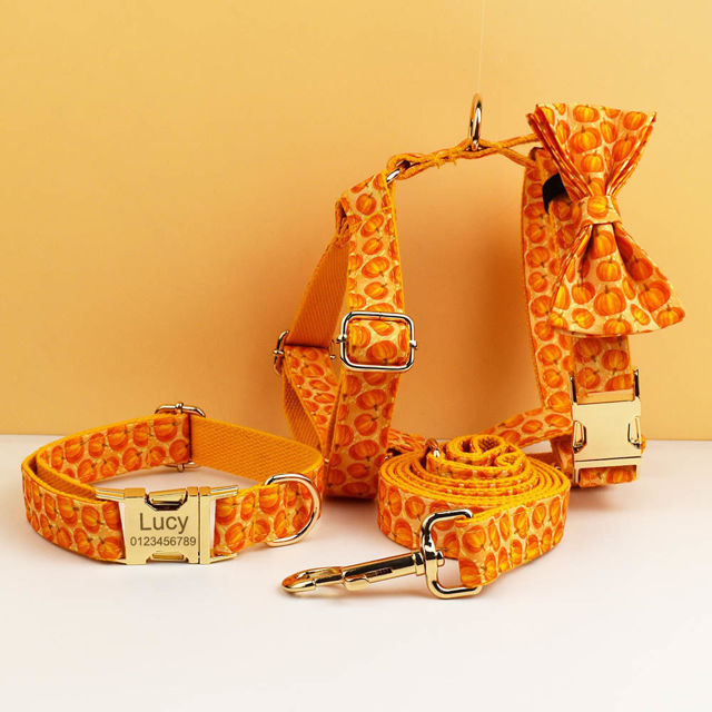 Picture of Personalized Pet Name Collar Set - Halloween Theme Series - Engraved Pet Name Tag Metal Buckle