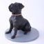 Picture of Custom Bobblehead Doll: Black Pet Dog Sharpei 