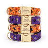 Picture of Personalized Pet Name Collar - Halloween Series - Engraved Pet Name Metal Buckle - Halloween Puppy Gift