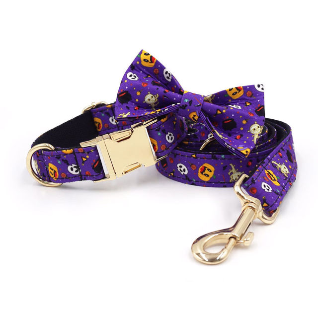 Picture of Personalized Pet Name Collar - Halloween Series - Engraved Pet Name Metal Buckle - Halloween Puppy Gift