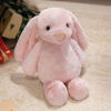 Picture of Custom Embroidered Plush Rabbit - Custom Name Plush Toy Rabbit - Personalized Cozy Bunny Gift for Kids
