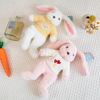 Picture of Customized Rabbit Toy - Custom Embroidered Name Plush Rabbit - Personalized Comfort Rabbit for Kids Gift