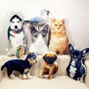 Picture of Personalized 3D Mini-Me Pillow – Your Face, Your Pet, Your Vibe