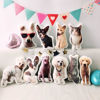 Picture of Personalized 3D Mini-Me Pillow – Your Face, Your Pet, Your Vibe