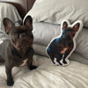 Picture of Personalized 3D Mini-Me Pillow – Your Face, Your Pet, Your Vibe