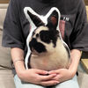 Picture of Personalized 3D Rabbit Plush – A Mini Version of Your Beloved Bunny