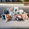 Picture of Personalized 3D Pet Pillow – A Mini Twin of Your Cat/Dog