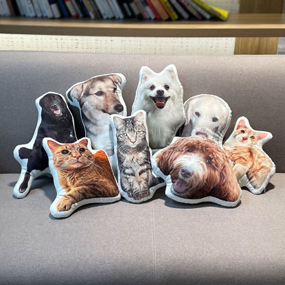 Picture of Personalized 3D Pet Pillow – A Mini Twin of Your Cat/Dog