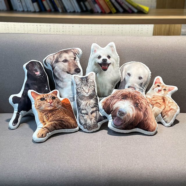 Picture of Personalized 3D Pet Pillow – A Mini Twin of Your Cat/Dog