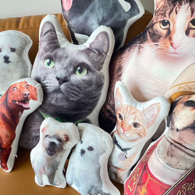 Picture of Personalized 3D Pet Face Pillow – From Photo to Cuddly Twin