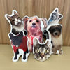 Picture of Custom 3D Pet Pillow - Your Furry Friend