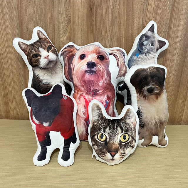 Picture of Custom 3D Pet Pillow - Your Furry Friend