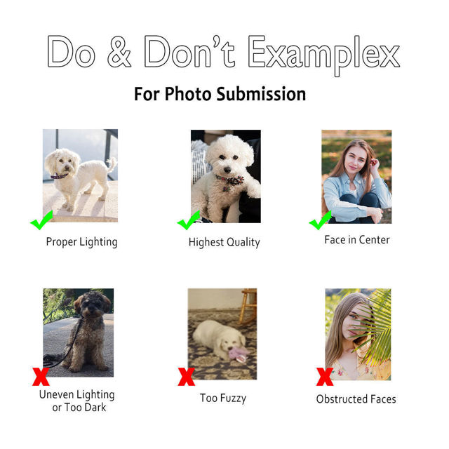 Picture of Custom 3D Pet Pillow - Pup Clone 3D Pillow