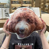 Picture of Custom 3D Pet Pillow - Pup Clone 3D Pillow