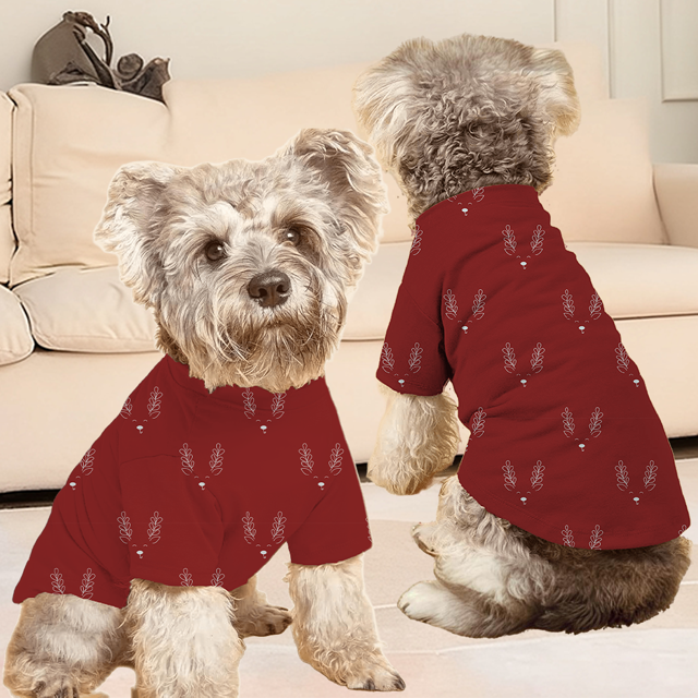 Picture of Family Christmas Pajamas Set - Rudolph the Red-Nosed Reindeer Matching Family Christmas Pajamas - Crew Neck Pajamas