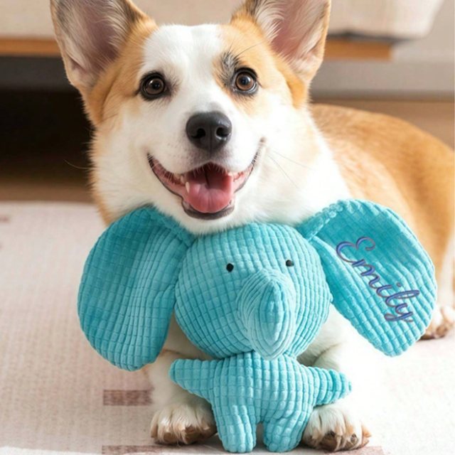 Picture of Personalized Embroidered Dog Toys - Customized Pet Supplies for Laughter, Teething, and Bite Resistance