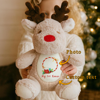 Picture of Customized Fawn Plush Toy - Personalized Christmas Gift - Baby's First Christmas Present